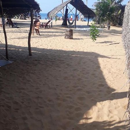 Dolphinchilling Hotel Alankuda ภายนอก รูปภาพ