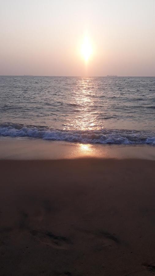 Dolphinchilling Hotel Alankuda ภายนอก รูปภาพ
