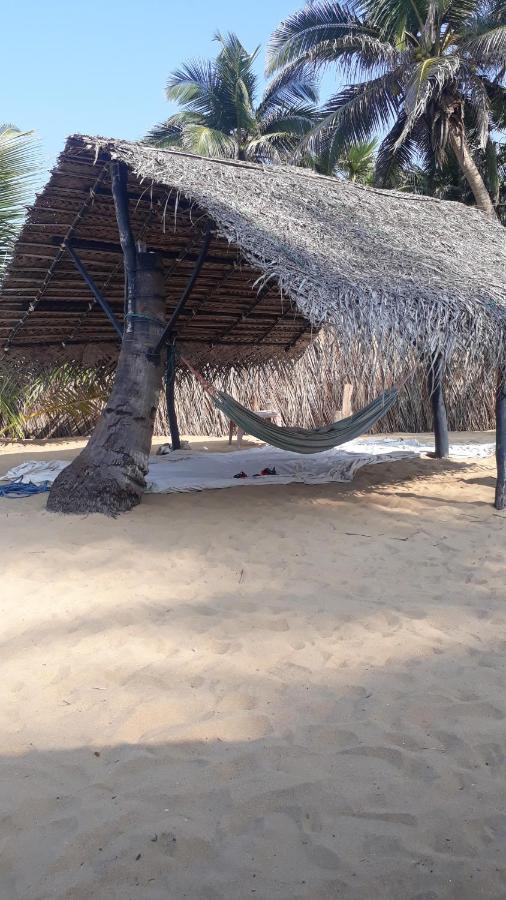 Dolphinchilling Hotel Alankuda ภายนอก รูปภาพ